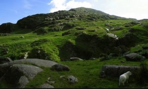 Ireland Green Hills