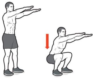 Sicfit Squat