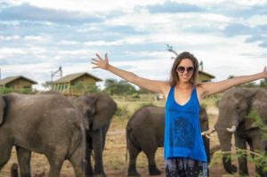 Kristin Addis Elephants