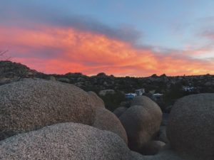 Keep Your Daydream Joshua Tree